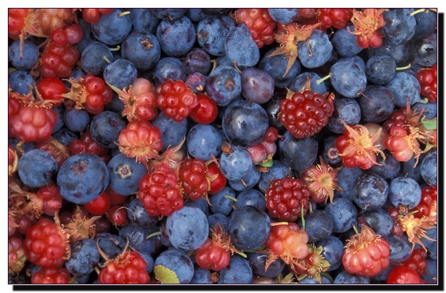 Фруктово–ягодная диета 