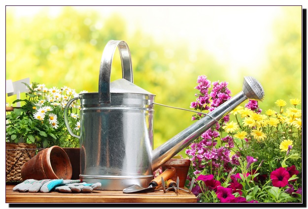 Садовая лейка